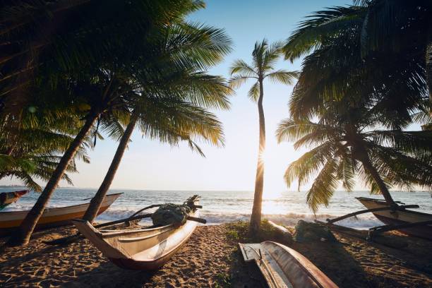 istock Fishing boats under palm trees 1198468381
