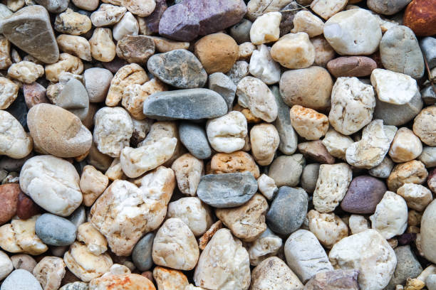 istock Colorful pebbles in the garden 1198470669