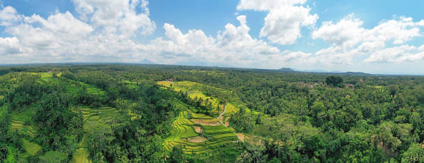 воздушная панорама с рисовых полей в сайдменах на бали индонезия - sidemen стоковые фото и изображения