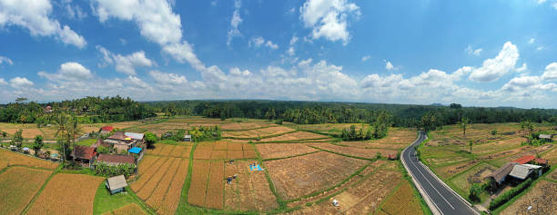 bali endonezya sidemen pirinç tarlaları havadan panorama - sidemen stok fotoğraflar ve resimler