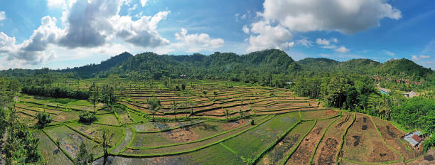 воздушная панорама с рисовых террас в сайдменах на бали индонезия - sidemen стоковые фото и изображения