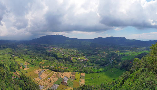 воздух с рисовых полей в sidemen на бали индонезии - sidemen стоковые фото и изображения