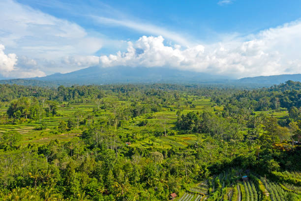 воздух с рисовых полей в sidemen с горы агунг на заднем плане на бали индонезии - sidemen стоковые фото и изображения
