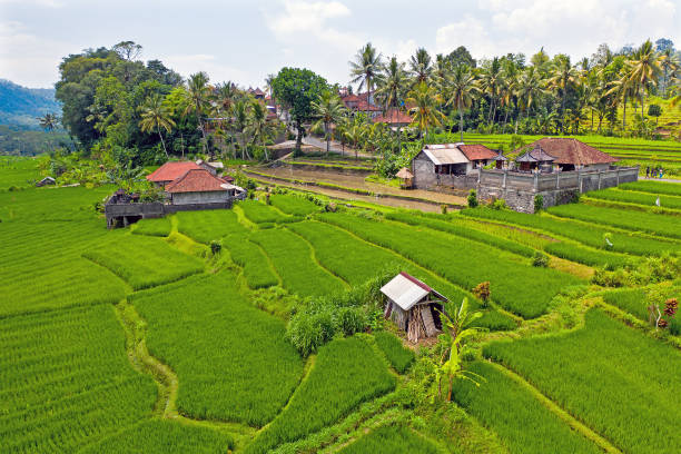 воздух с рисовых террас в sidemen на бали индонезии - sidemen стоковы е фото и изображения