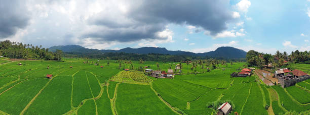bali endonezya sidemen pirinç teraslarından hava panorama - sidemen stok fotoğraflar ve resimler