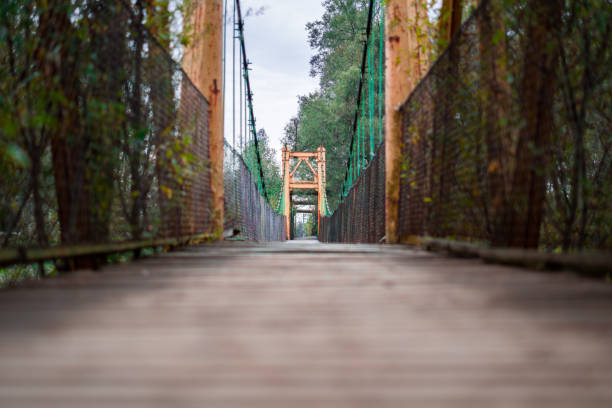 path on the wooden deck of an old bridge with green vegetation in the background and perspective blur