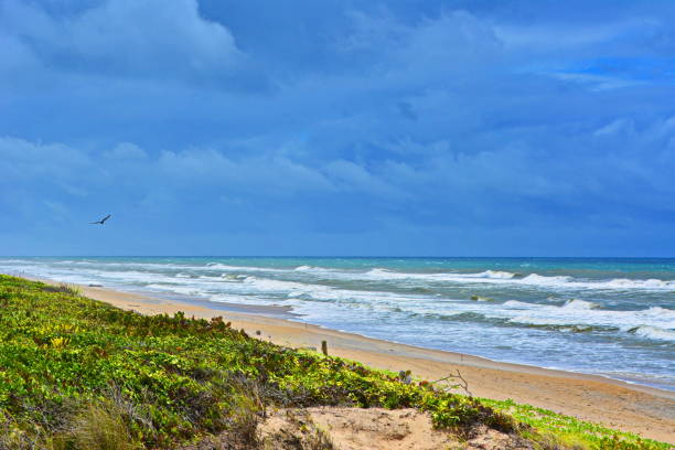 istock Beautiful beach landscape 1198476769