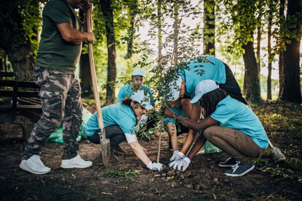 istock Planting Tree In Public Park 1198478051