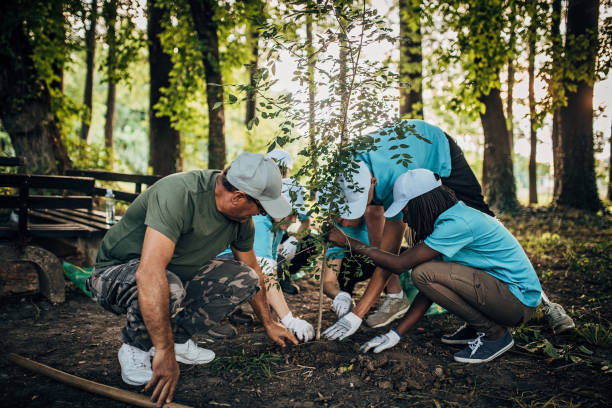istock Planting Tree In Public Park 1198478082