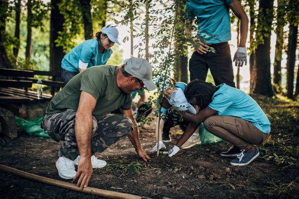 istock Planting Tree In Public Park 1198478118