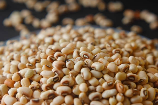 istock Black eyed peas seeds 1198478178