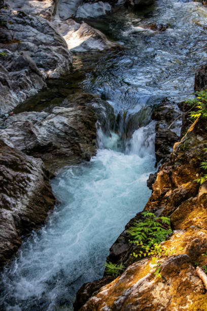 istock Rapids before the falls, Qualicum Falls, Vancouver Island, BC, Canada 1198478220