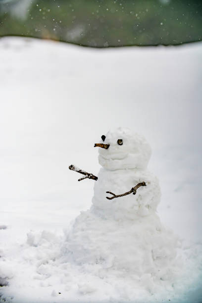 istock Christmas snowman on snow in winter 1198479543