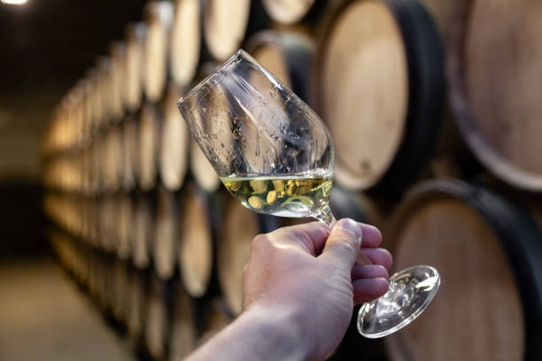 Closeup hand with glass of white wine on background wooden oak barrels stacked in straight rows in order, old cellar of winery, vault. Concept professional degustation, winelovers, sommelier travel Closeup hand with glass of white wine on background wooden oak barrels stacked in straight rows in order, old cellar of winery, vault. Concept professional degustation, winelover, sommelier travel chardonnay stock pictures, royalty-free photos & images