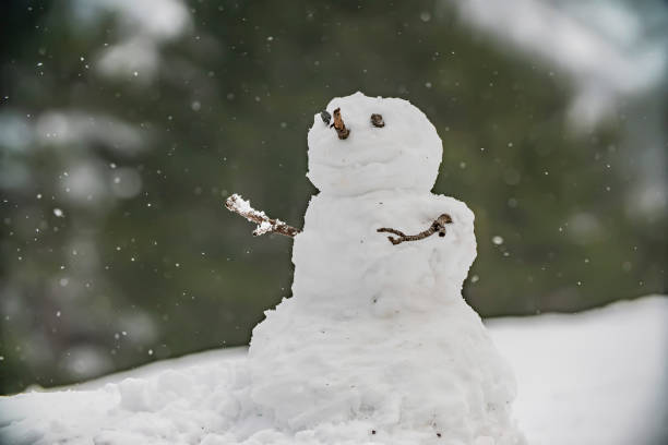 istock Christmas snowman on snow in winter 1198479707