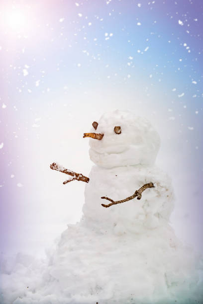 istock Christmas snowman on snow in winter 1198479792