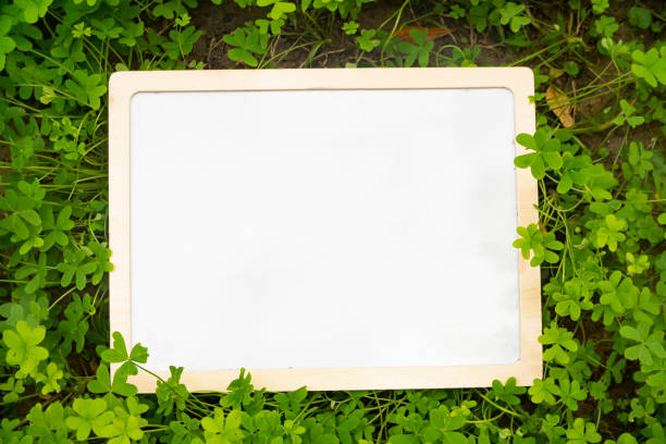 istock Green background with three-leaved shamrocks background with frame. St.   Patrick's day holiday symbol 1198480843