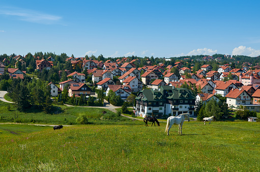 Horses grazing on a mountain pasture with country houses with red roofs