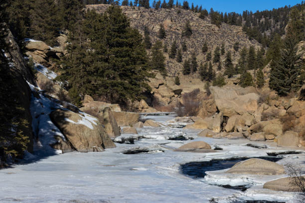 istock Eleven Mile Canyon in Winter 1198484496