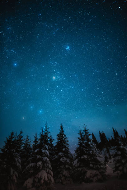 istock Starry night sky in winter mountains with trees in the foreground 1198485320