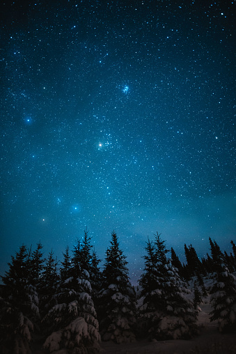 Starry night sky in winter mountains with trees in the foreground