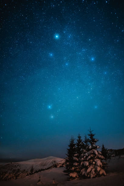 istock Starry night sky in winter mountains with trees in the foreground 1198486090
