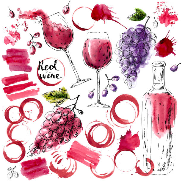 hand gezeichnete tinte und aquarell skizze von rotweingläser, weinflasche - dry wine stock-grafiken, -clipart, -cartoons und -symbole