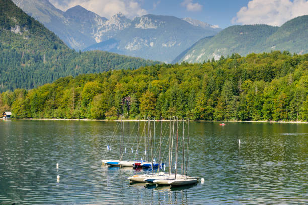 istock Bohinj Lake with turquoise water 1198487403