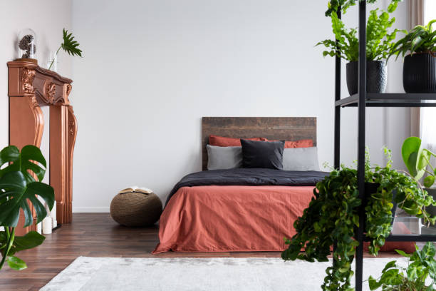 istock Copy space on empty white wall of rustic bedroom interior with king size bed with orange bedding and black duvet 1198488509