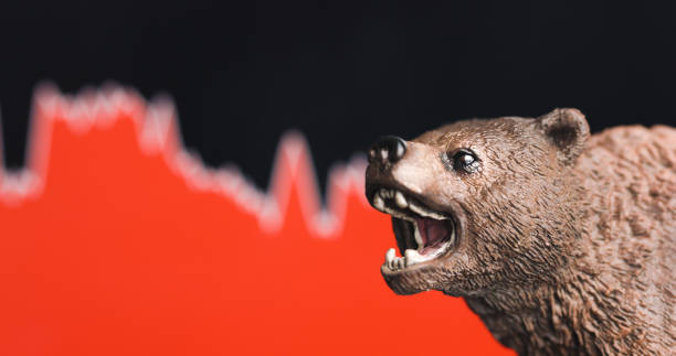 Stock market crash with red chart Stock market crash with red chart in background and bear in front. Bearish market trend concept. drop bear stock pictures, royalty-free photos & images