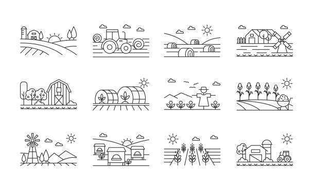Agricultural icons black and white linear set Agricultural icons black and white linear set. Harvesting combine and machinery pack. Fields with corn and wheat. Cultivating and farming illustrations isolated on white background farm icons stock illustrations