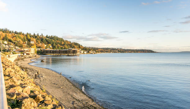 istock Autumn Colors Over Shoreline 4 1198490968