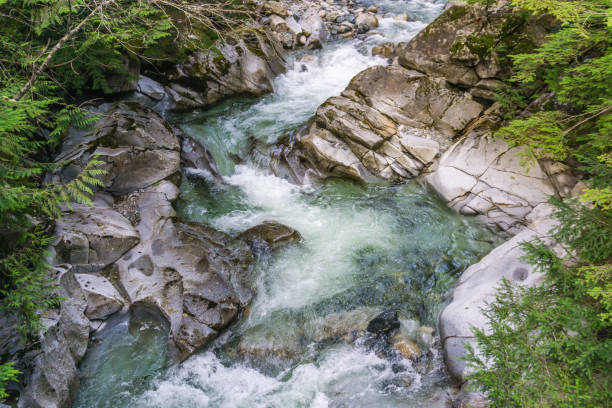 istock Creek With Clear Water 4 1198491009