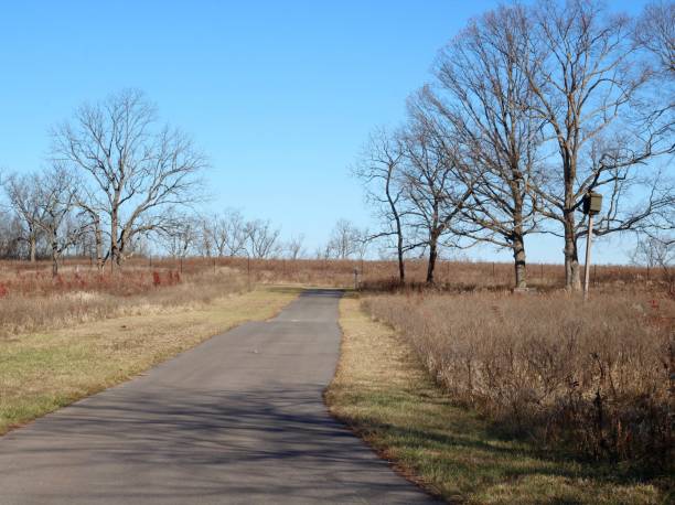 istock Long Empty Walkway in the Country 1198492177