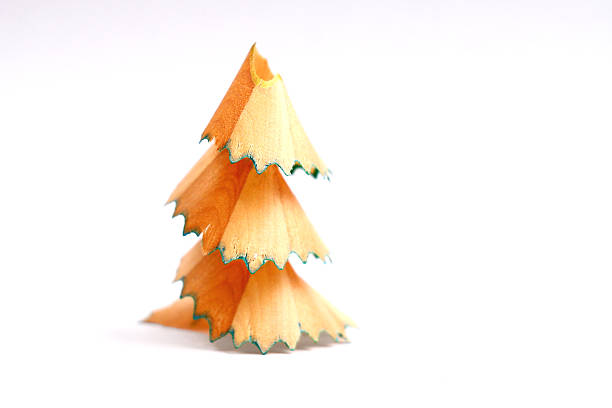 Copeaux de crayon arbre - Photo
