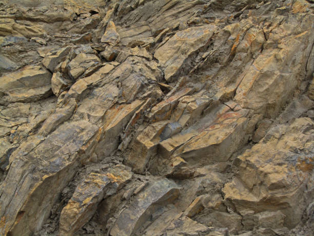 istock Mountain texture. Close-up. Light brown stone background. 1198493463