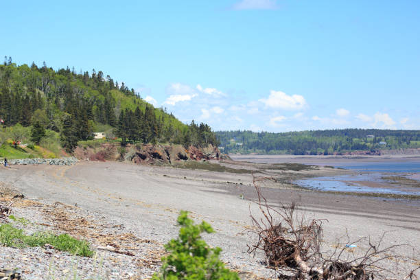 istock Nova Scotia scenery close to Parrsbaro 1198494557