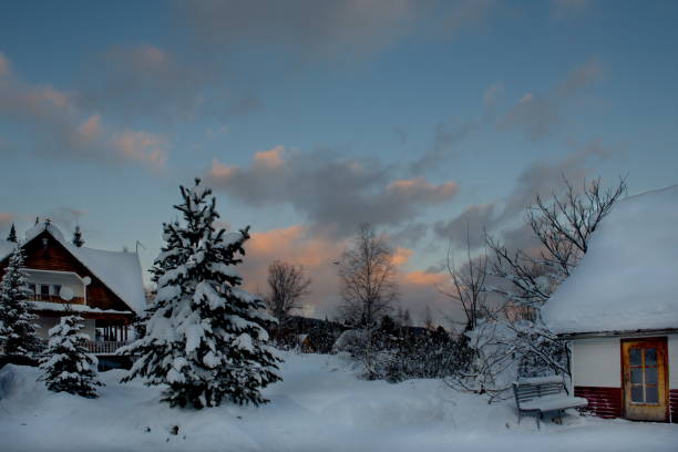 istock Cold sunset in the snow-covered taiga 1198494574