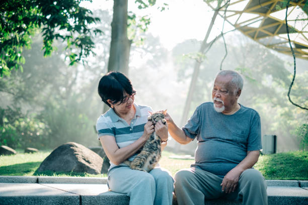 istock Lovely Senior Couple Playing with Cat 1198494753