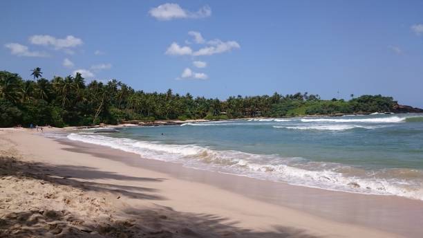 istock Tropical beach, blue water, holidays in Sri Lanka 1198494791
