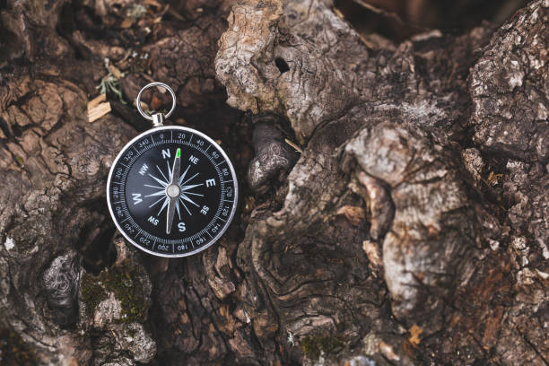 bushcraft compass in the woods