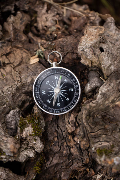 istock bushcraft compass in the woods 1198495721