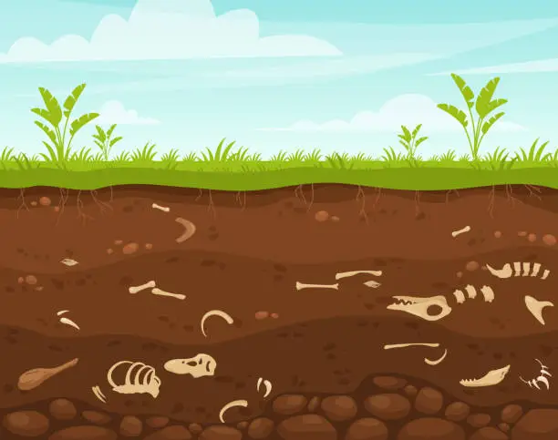Vector illustration of Archeology and paleontology flat vector illustration. Underground surface with dinosaur bones. Buried fossil animals, skeleton bone in dirt. Excavation scene, soil layers, historical artifacts.