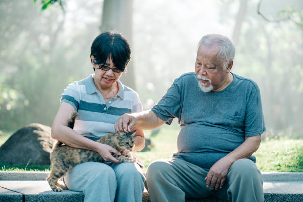 istock Lovely Senior Couple Playing with Cat 1198496726