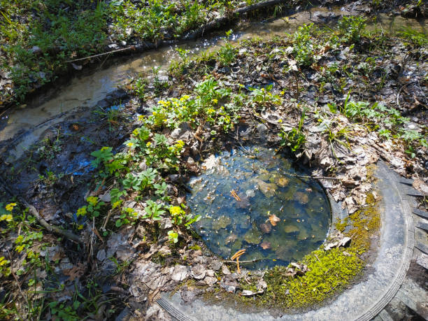 istock Muddy road in rural path at the forest with creek. 1198498925