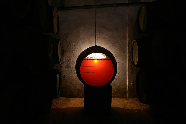 sherry barrel im alten keller - wine barrel cellar sherry stock-fotos und bilder