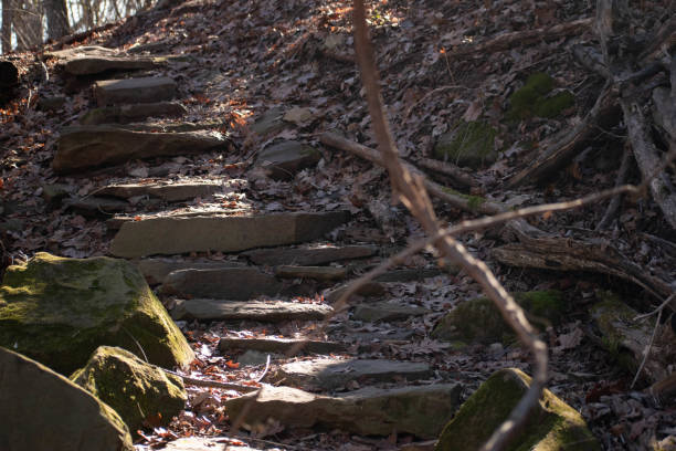 istock Rock steps in wooded park 1198499207