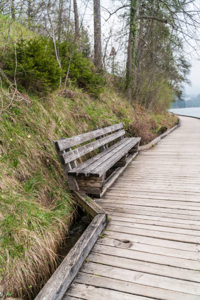 istock Empty old wooden bench at a park 1198499210