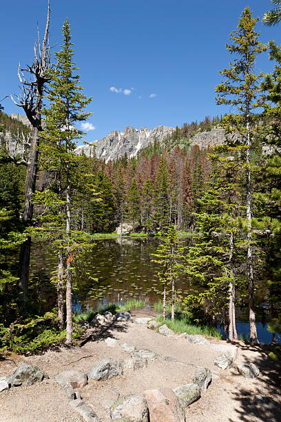 istock Rocky Mountain National Park 119849991