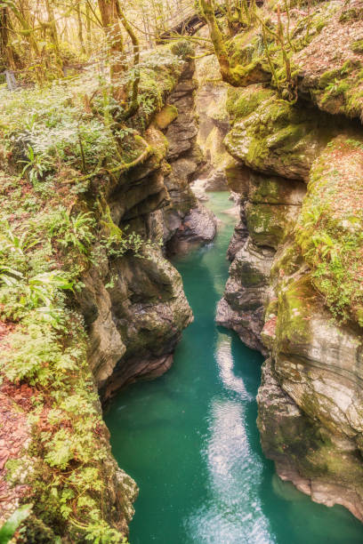 istock Martvili Canyon in Georgia 1198500251